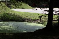 IMG_4851 (Large)